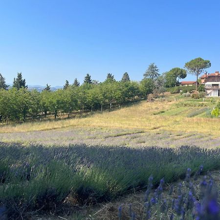 Agriturismo Villa Beatrice Mondavio Exterior photo